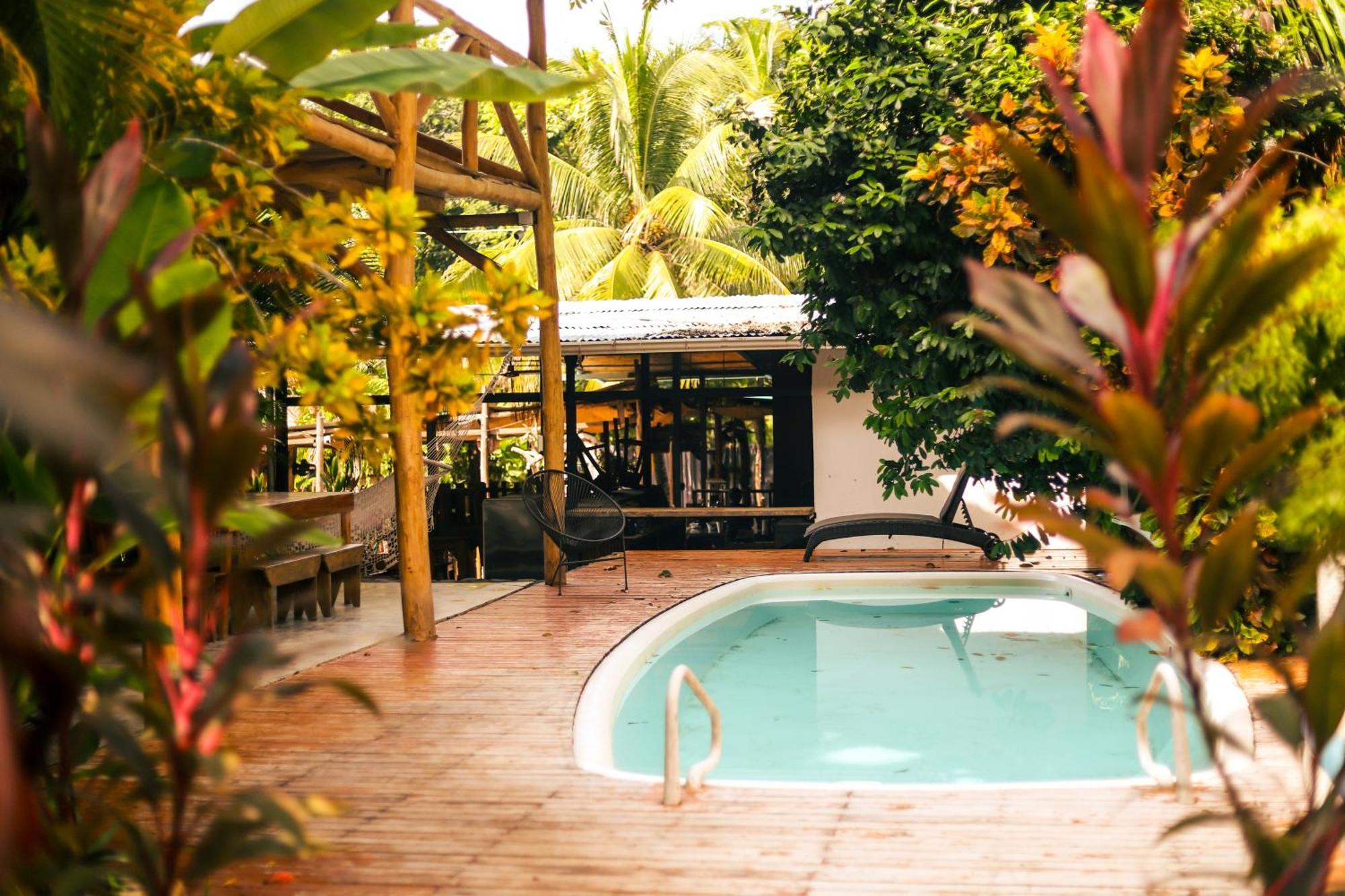 Cabinas Playa Surf Hostel Playa Santa Teresa  Dış mekan fotoğraf