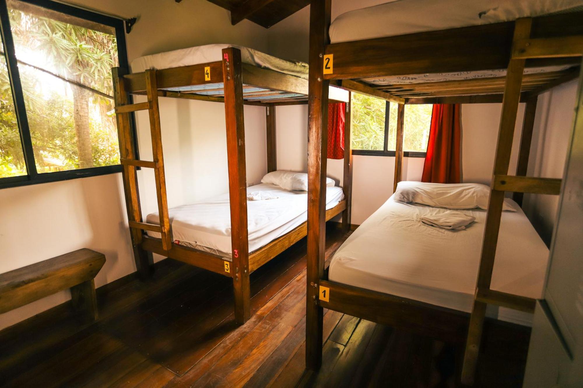 Cabinas Playa Surf Hostel Playa Santa Teresa  Dış mekan fotoğraf