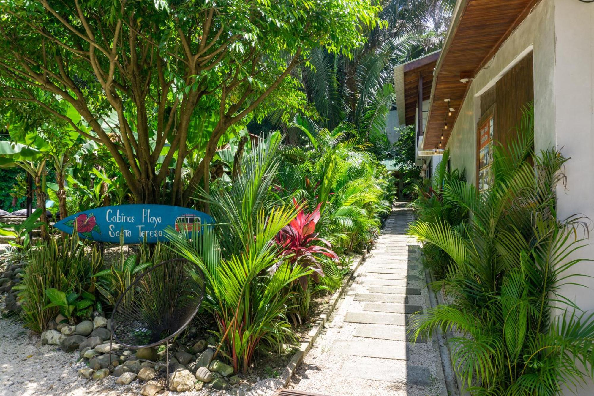 Cabinas Playa Surf Hostel Playa Santa Teresa  Dış mekan fotoğraf