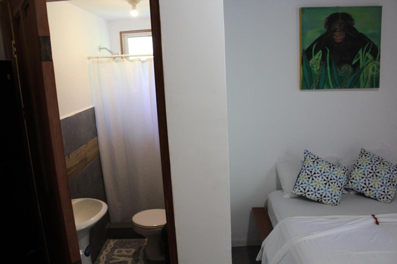 Cabinas Playa Surf Hostel Playa Santa Teresa  Dış mekan fotoğraf